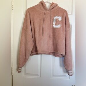 Champion cropped hoodie varsity style